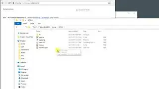 How to install Chrome extension from local file