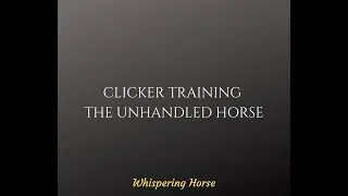 Clicker Training the Unhandled Horse - first touch