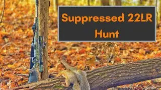 Squirrel Hunting with Suppressed 22 Rifle