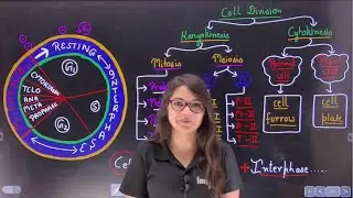 Complete Cell Division Layout in 10 Minutes by Sonal Ahlawat Mam