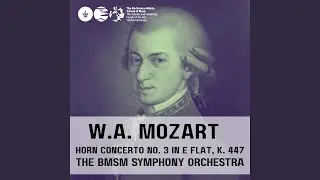 I. Allegro (feat. Zubin Mehta & Noam Fresko)