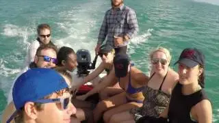 G Adventures Brisbane to Cairns Experience
