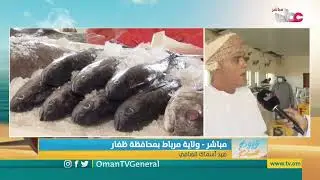 ربط مباشر من ولاية مرباط بمحافظة ظفار للحديث حول صيد أسماك الصافي بولاية مرباط
