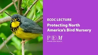 Protecting North America's Bird Nursery - ECOC September 2025