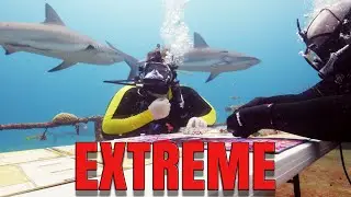 Extreme Board Gaming&trade; с акулами | Above Board