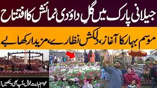 Gul-e-Daudi Exhibition In Lahore Jillani Park | Flower Exhibition | Race Course Park