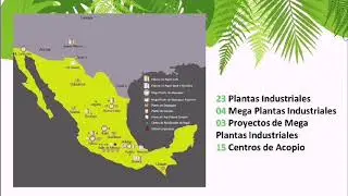 BIO PAPPEL An&aacute;lisis Cualitativo y Cuantitativo