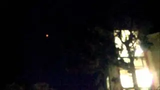 Distortion - Alien Cranium Brain Extract