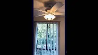 Renovated 2 bedroom 2 bath @ City View
