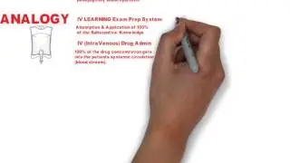 Rapid Gigs Plus IV Learning System1