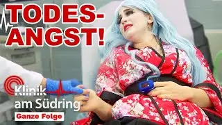 Kugelfisch-Vergiftung? Ärzte kämpfen um das Leben einer Patientin! | Klinik am Südring | SAT.1