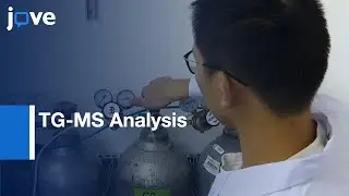 TG-MS Analysis for Reactions with Evolved Gases | Protocol Preview