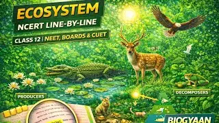 Ecosystem 🌏 | NCERT Line-by-Line | Boards &bull; CUET &bull; NEET Biology