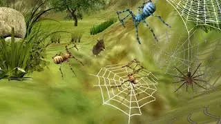Ultimate Spider Simulator by clans android ios