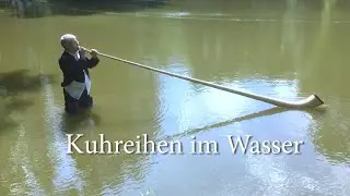 Franz Schüssele: Kuhreihen im Wasser
