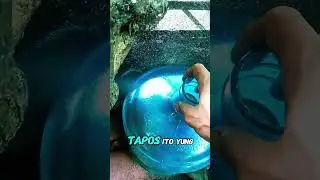Walang Balita. 🐟🐠✌️#betta #bettafish #fish #fishkeeper #fishkeeping #fishing #hobbyist #hihglights