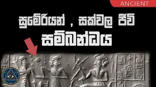 සුමේරියන් වරැන්ට මේ අභිරහස් දැනුම ආවේ කො⁣හෙන්ද ? mysterious knowledge of sumerians
