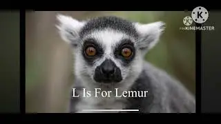 ABC Animals