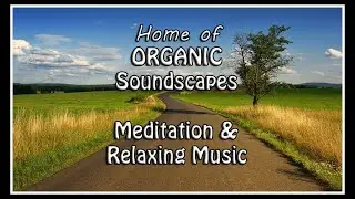 Organic Soundscape Healing Meditation Relaxing Music