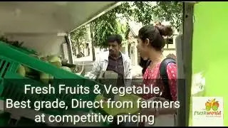 Fresh world franchise business