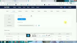 how to find tron coin trx deposit address catex exchange 28 aug 2024