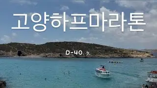 일상브이로그 책추천 정해연 더블 유괴의날 고하마 D-40