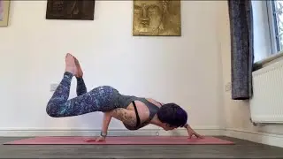 Wounded Peacock Pose Variation - Peacock Pose Tutorial - How To Yoga