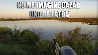 Mira LO QUE CAZAMOS con el PR900. Caza y Cocina en el Campo . GANSO ENORME