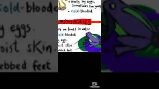 General Science Class Five Unit 1 classification of Animals