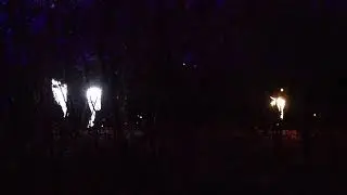 Harry Potter: A Forbidden Forest Experience 13