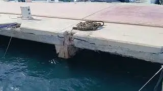Mooring Line Fail!!.We Kissed the Dock. Sailing Our Lagoon 380, 'Inna Peace'. 