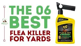 The Best Flea Killer For Yards