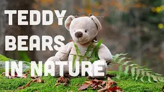 Music For Creative Play 🎨 Children's Calm Music