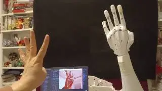 inmoov