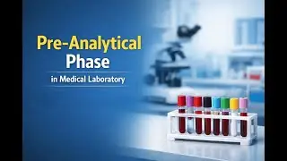 Pre-Analytical Phase in Medical Laboratory | Errors, Steps & Importance