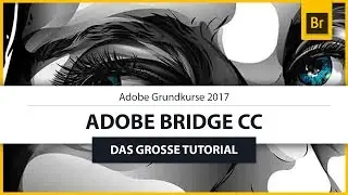Das gro&szlig;e Adobe Bridge CC Tutorial (Adobe Grundkurs 2017)