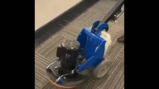 Commercial Carpet Cleaning Services in Miami | High-Traffic Office & Business Floors