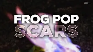 TBD: Frog PoP - Scars (Official Audio) | #Housemusic #Dubstep