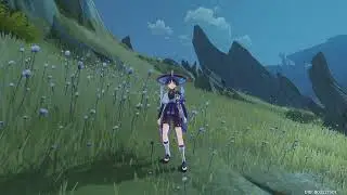 WANDERER EXTENDED IDLE ANIMATION Genshin Impact