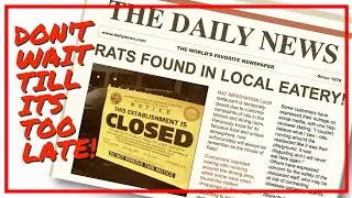 Remove Rats From Your Restaurant, Customer Saw Rat, Crumbs, Staff, Storage, Roof, Melbourne