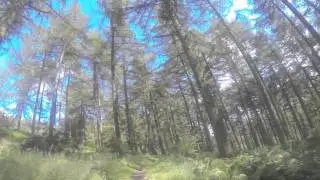 7 Stanes, Newcastleton, Man down