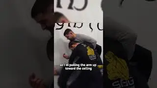 Double Leg Defence Fundamentals 🛡 MMA Fence Wrestling 👊 #MMA #Takedown #Defence #MixedMartialArts