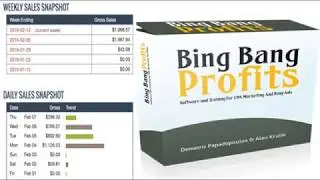 Bing Bang profits Review