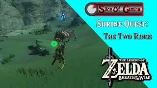 Legend of Zelda BOTW Shrine Quest - The Two Rings