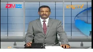 Evening News in Tigrinya for November 2, 2024 - ERi-TV, Eritrea