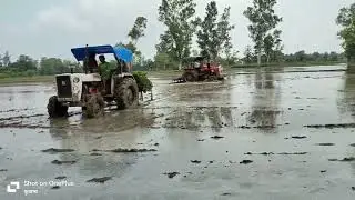 Rice Farming in UP With massey forgussion & escort335 #uttarpradesh #agriculture #farmer #india 