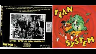 FLAN SYSTEM   Extra Special Braindamage