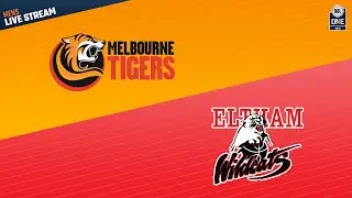 NBL1 Women Round 15 | Melbourne vs Eltham