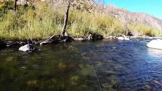 Nymphing the N. Fork Feather river,  Middle of October.