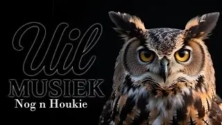 Nog n Houkie - Suid Afrika Braai Anthem
